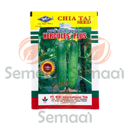 [BNSY022B01] Benih Mentimun Hercules - 20 gr
