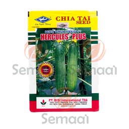 [BNSY022A01] Benih Mentimun Hercules - 10 gr