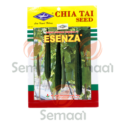 [BNSY067A01] Benih Gambas Esenza