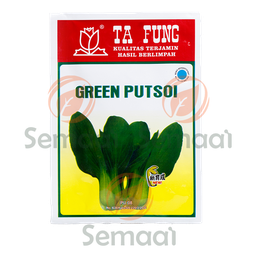 [BNSY070A01] Benih Pak Choi Green Putsoi Tafung