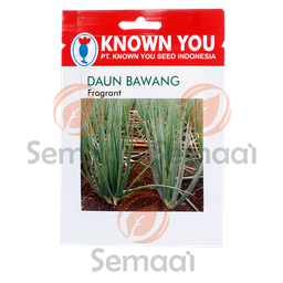 [BNSY078A01] Benih Daun Bawang Fragrant - 5 gr