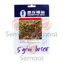 [BNSY073B01] Benih Cabai Rawit Centil Besar - 5 gr