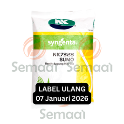 [BNJG009A01] Benih Jagung NK 7328 Sumo