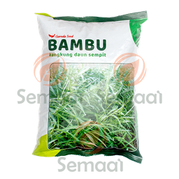 [BNSY099A01] Benih Kangkung Bambu Daun Sempit