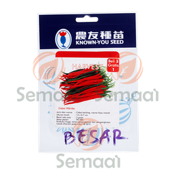 [BNSY074B01] Benih Cabai Merah Keriting Harvest Besar - 5 gr
