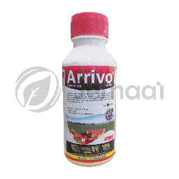 [INSK169A01] Arrivo 30 EC - 500 ml