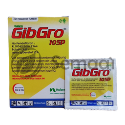 [ZTPT006A01] Gibgro 10 SP Sachet - 1 gr