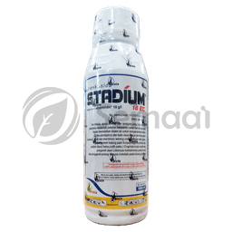 [INSK177B01] Stadium 18 EC - 500 ml