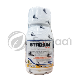 [INSK177C01] Stadium 18 EC - 200 ml