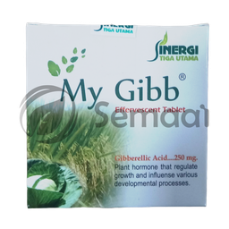 [ZTPT007A01] My Gibb
