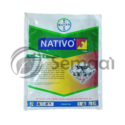 [FUNG098B07] Nativo 75 WG - 50 gr
