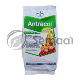 [FUNG094A07] Antracol 70 WP - 250 gr