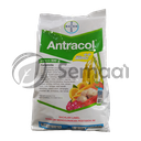 Antracol 70 WP - 500 gr