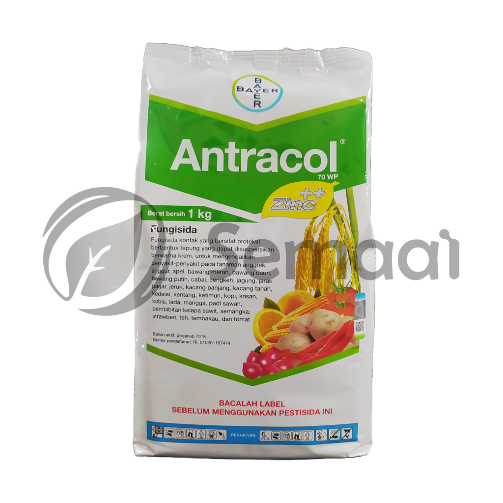 Antracol 70 WP - 1 kg