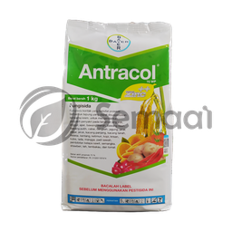 [FUNG094C07] Antracol 70 WP - 1 kg
