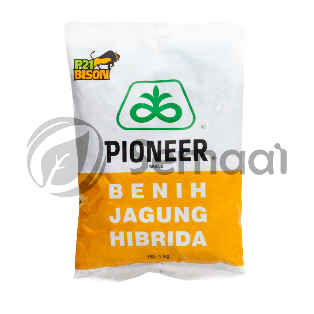 Benih Jagung P-21 Bison - 1 kg