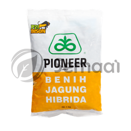 [BNJG007A07] Benih Jagung P-21 Bison - 1 kg