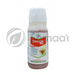 [HERB076B07] Rice Star X-Tra - 100 ml