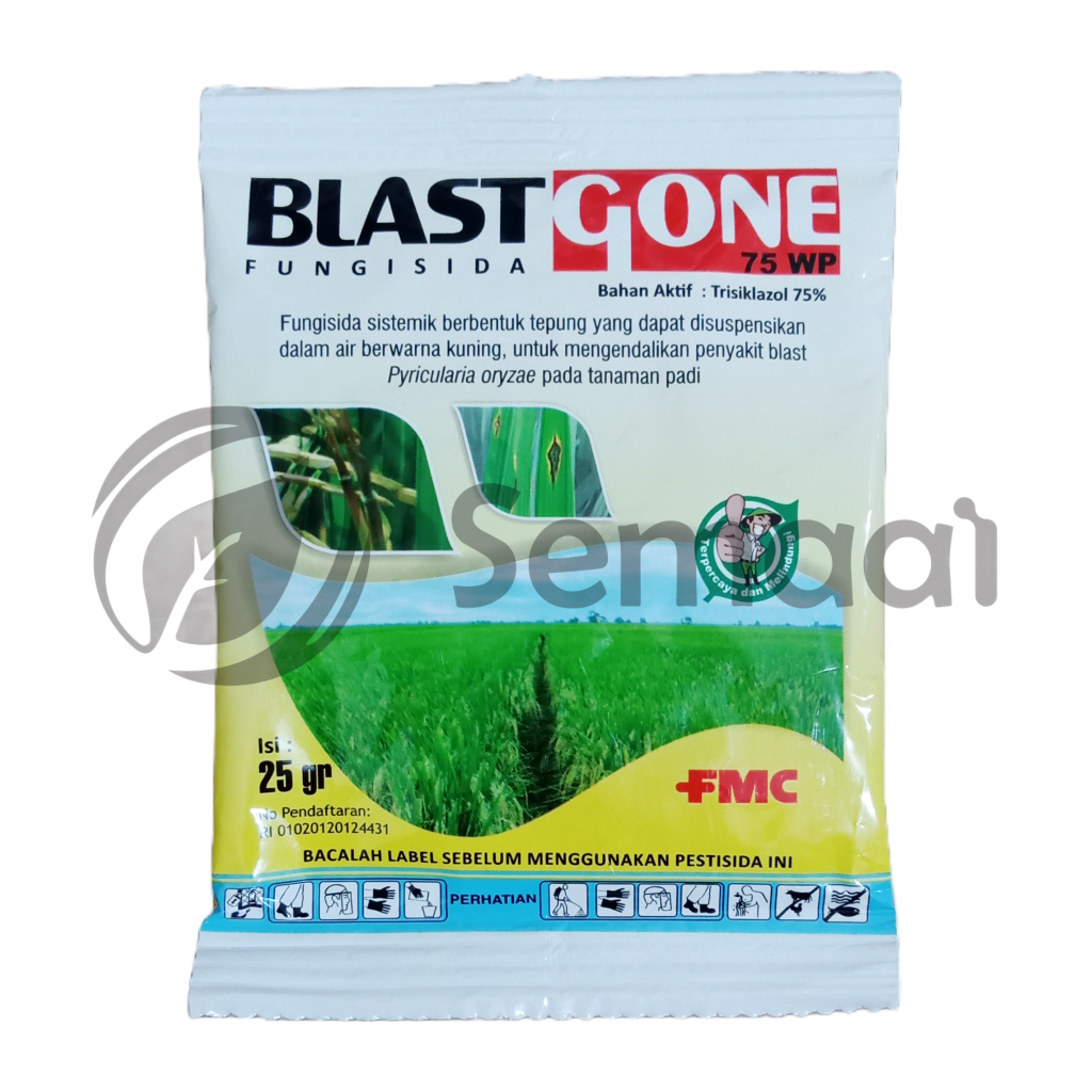 Blast Gone 75 WP - 25 gr