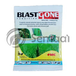 [FUNG102A07] Blast Gone 75 WP - 25 gr